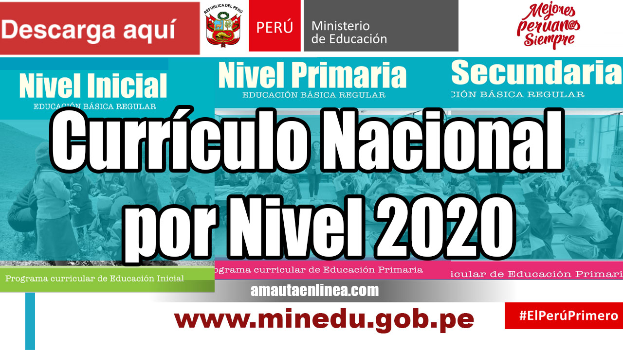 curriculo por nivel